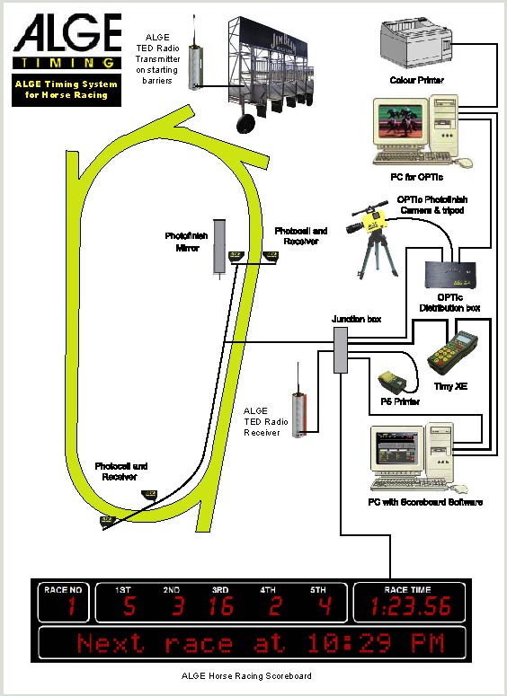 Horse Layout